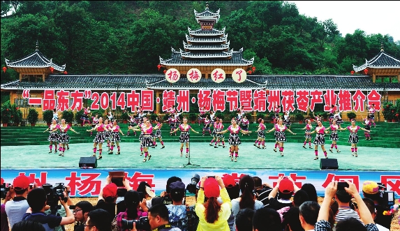 2014中国·靖州·杨梅节暨靖州茯产业推介会开幕