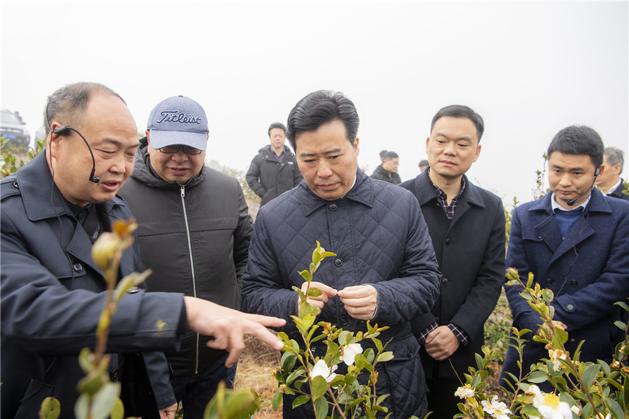 GetAttachment (2)_副本