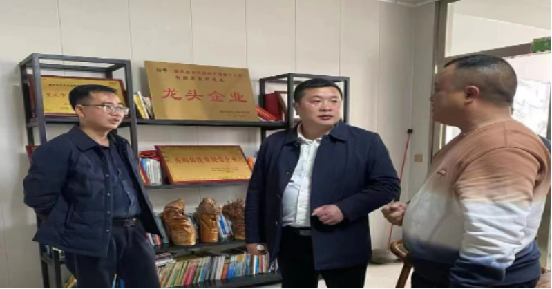 招商考察不停歇奋进蓄力正当时——溆浦县龙潭镇赴重庆开展招商引资活动