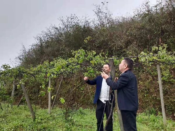 麻阳县城城市人口_麻阳县城管执法队