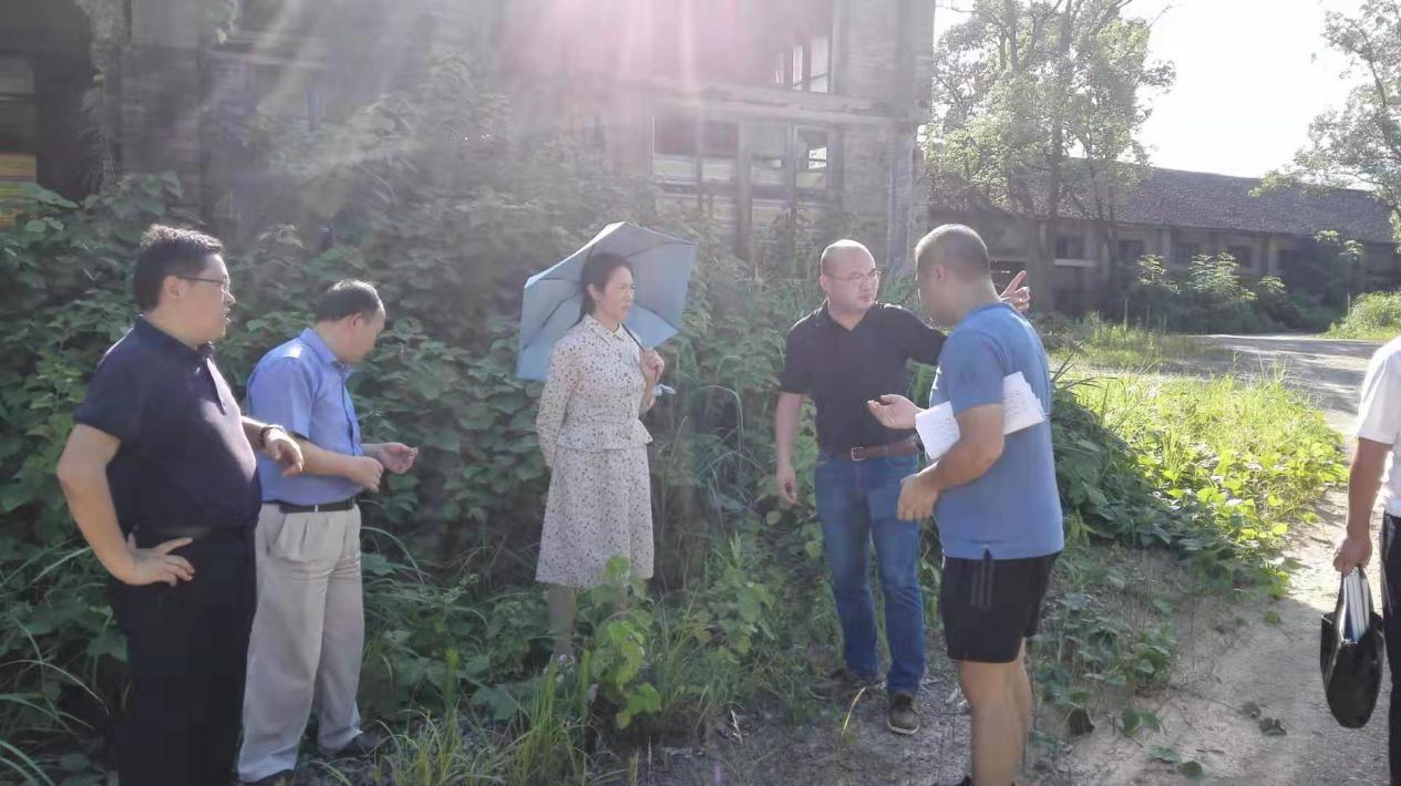 怀化市生态环境局党组书记,局长钟丽萍深入洪江市,洪江区调研环保治理