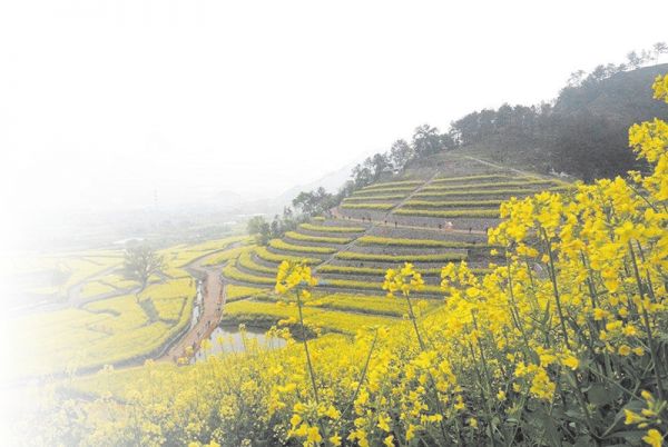 丹凤各村人口_丹凤大峪沟民俗旅游村(2)
