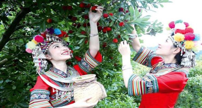 品靖州杨梅 赏苗侗风情 促产业扶贫 2018湖南靖州杨梅节暨产业扶贫促销活动开幕