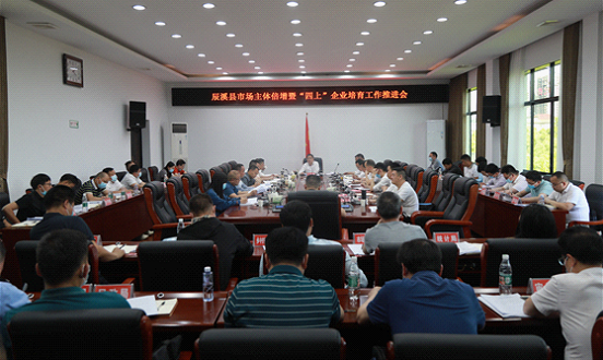 丁热平指出,市场主体是区域经济发展的重要支撑,是稳