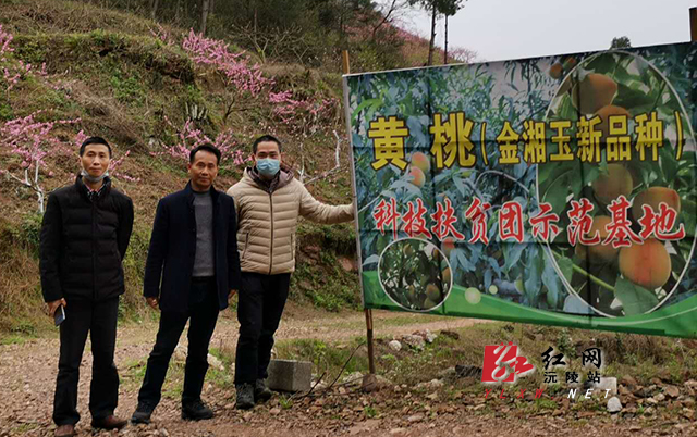 沅陵劲吹科技 服务风 市科学技术局 沅陵劲吹科技 服务风 市科学技术局