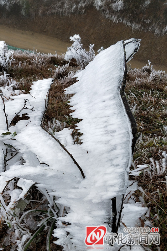 图说怀化通道黄沙岗雾凇景观宛若仙境