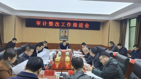 洪江市召开审计整改工作会议,市委副书记,市人民政府市长向青松主持