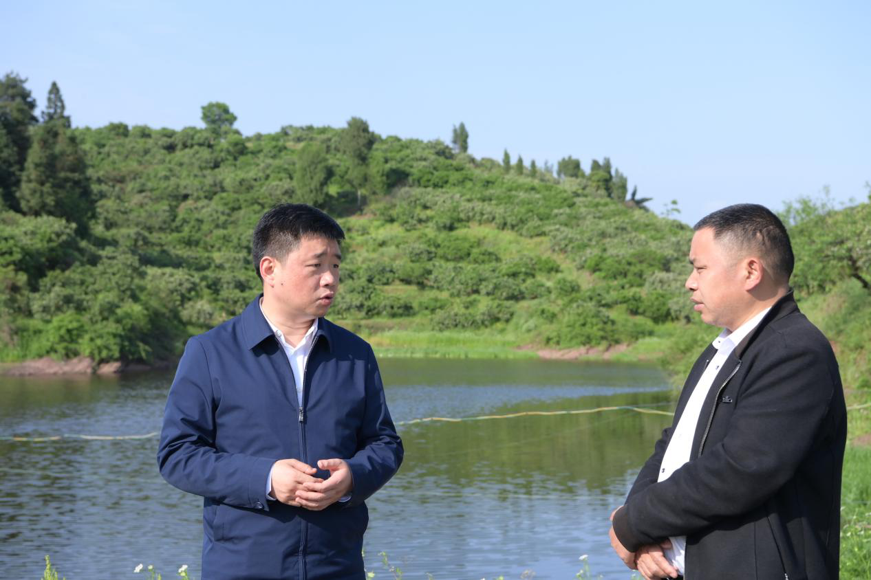 麻阳县委书记江涛督导检查防汛备汛及防溺水工作